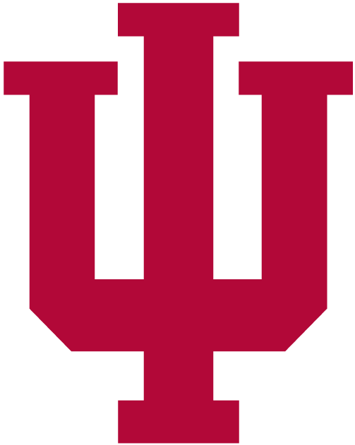 Indiana Hoosiers 2002-Pres Primary Logo t shirts iron on transfers...